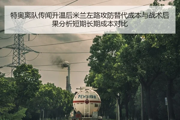 te-ao-li-dui-chuan-wen-sheng-wen-hou-mi-lan-zuo-lu-gong-fang-ti-dai-cheng-ben-yu-zhan-shu-hou-guo-fen-xi-duan-qi-chang-2-479.jpg
