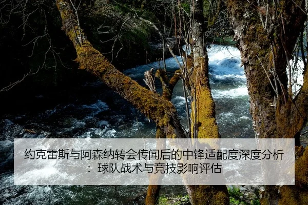 约克雷斯与阿森纳转会传闻后的中锋适配度深度分析：球队战术与竞技影响评估