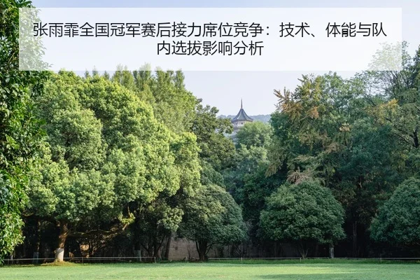 zhang-yu-fei-quan-guo-guan-jun-sai-hou-jie-li-xi-wei-jing-zheng-ji-shu-ti-neng-yu-dui-nei-xuan-ba-ying-xiang-fen-xi-2-816.jpg